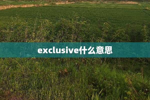 exclusive什么意思