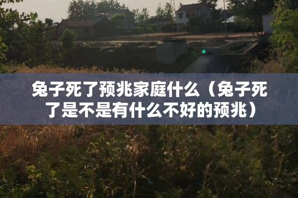 兔子死了预兆家庭什么（兔子死了是不是有什么不好的预兆）