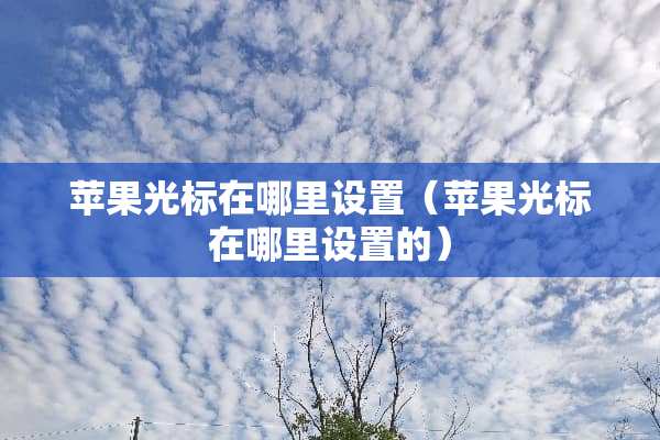 苹果光标在哪里设置（苹果光标在哪里设置的）