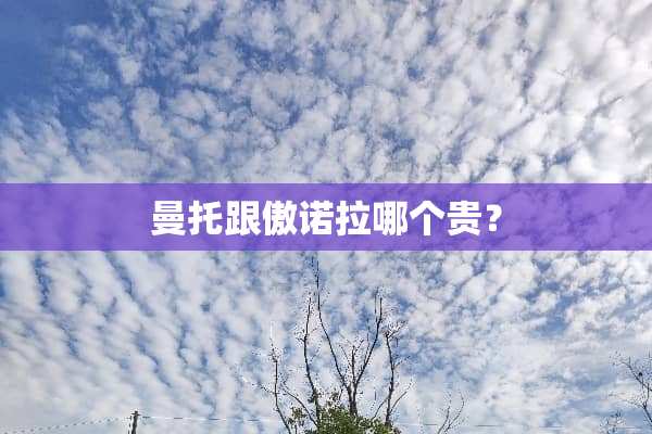 曼托跟傲诺拉哪个贵？