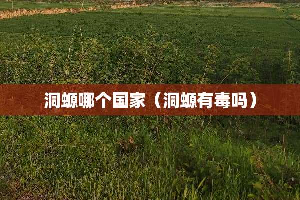 洞螈哪个国家（洞螈有毒吗）