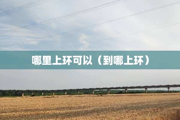 哪里上环可以（到哪上环）