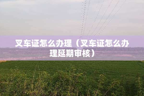 叉车证怎么办理（叉车证怎么办理延期审核）