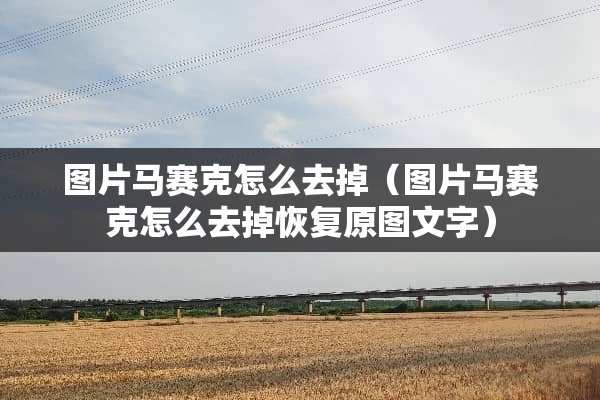 图片马赛克怎么去掉（图片马赛克怎么去掉恢复原图文字）