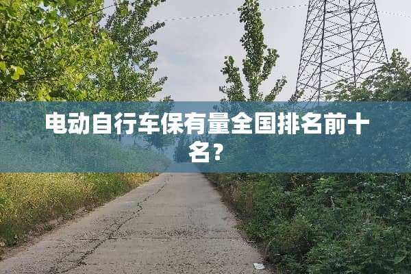 电动自行车保有量全国排名前十名？