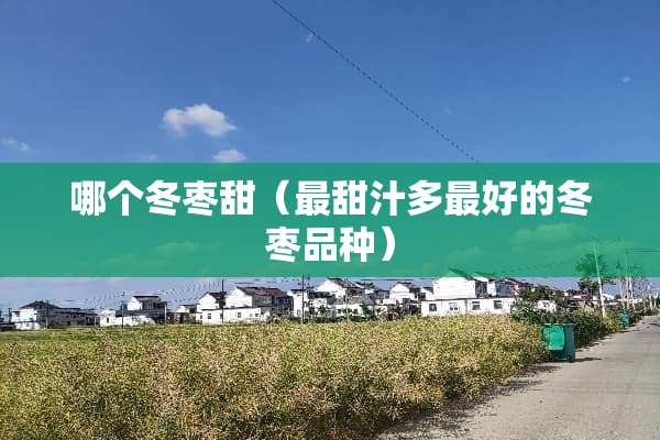 哪个冬枣甜（最甜汁多最好的冬枣品种）
