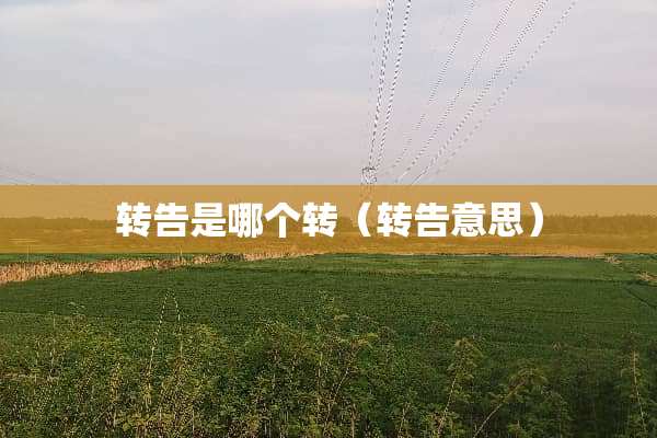 转告是哪个转（转告意思）