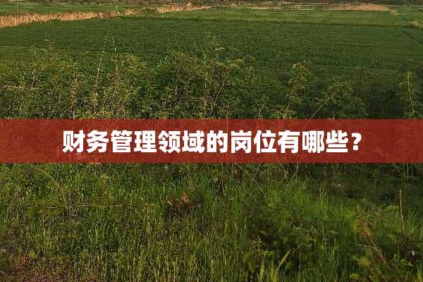 财务管理领域的岗位有哪些？