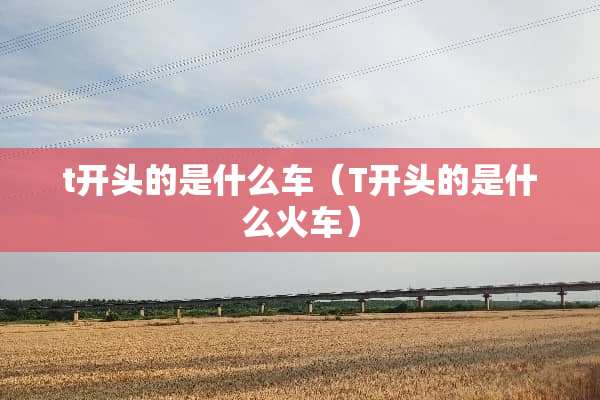 t开头的是什么车（T开头的是什么火车）