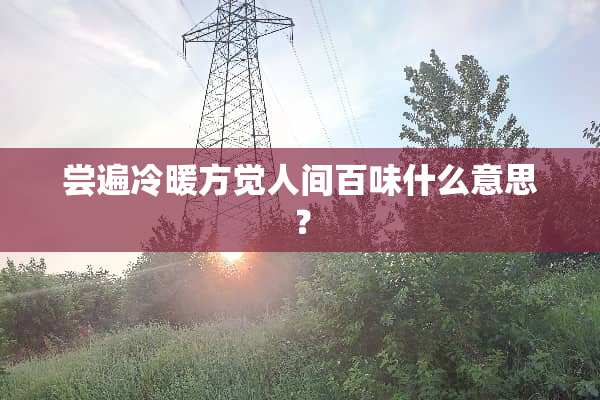 尝遍冷暖方觉人间百味什么意思？