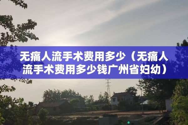 无痛人流手术费用多少（无痛人流手术费用多少钱广州省妇幼）