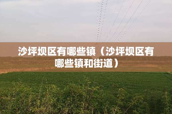 沙坪坝区有哪些镇（沙坪坝区有哪些镇和街道）