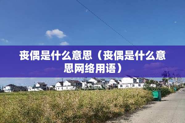 丧偶是什么意思（丧偶是什么意思网络用语）