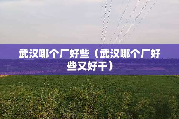 武汉哪个厂好些（武汉哪个厂好些又好干）