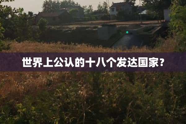 世界上公认的十八个发达国家？