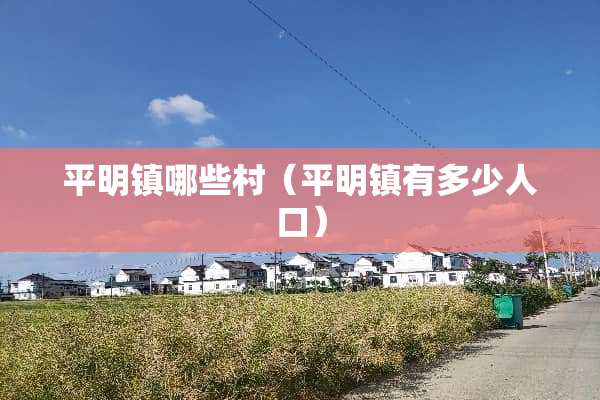 平明镇哪些村（平明镇有多少人口）