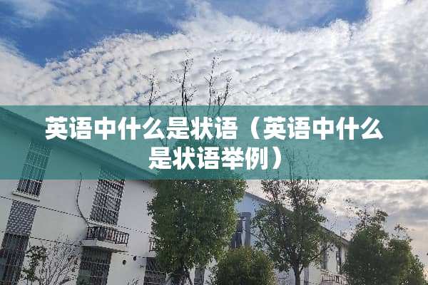 英语中什么是状语（英语中什么是状语举例）