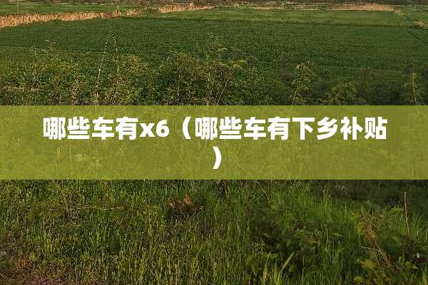哪些车有x6（哪些车有下乡补贴）
