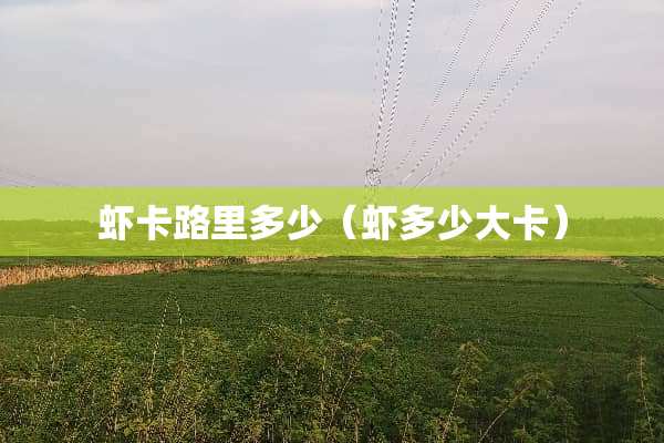 虾卡路里多少（虾多少大卡）