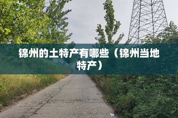 锦州的土特产有哪些（锦州当地特产）