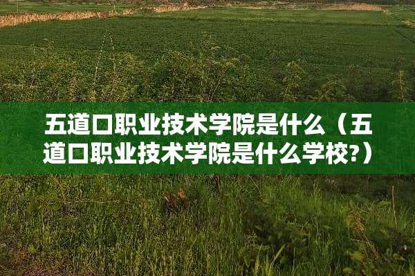 五道口职业技术学院是什么（五道口职业技术学院是什么学校?）