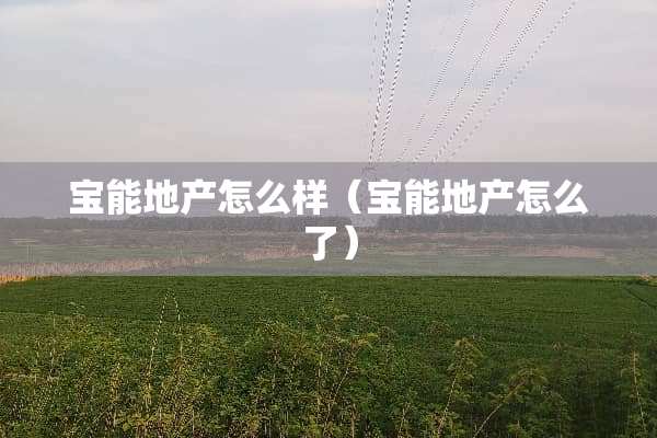 宝能地产怎么样（宝能地产怎么了）