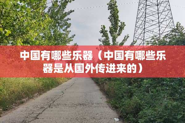 中国有哪些乐器（中国有哪些乐器是从国外传进来的）