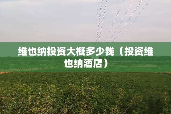 维也纳投资大概多少钱（投资维也纳酒店）