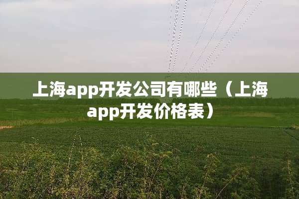 上海app开发公司有哪些（上海app开发价格表）