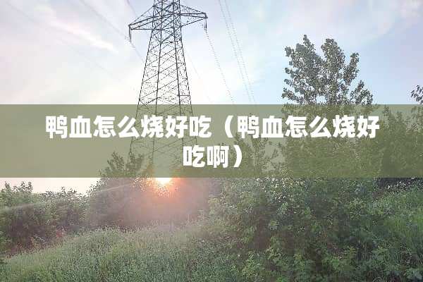 鸭血怎么烧好吃（鸭血怎么烧好吃啊）