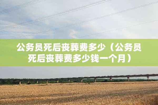 公务员死后丧葬费多少（公务员死后丧葬费多少钱一个月）