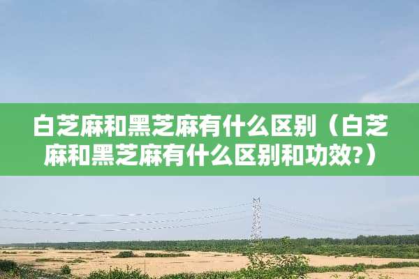白芝麻和黑芝麻有什么区别（白芝麻和黑芝麻有什么区别和功效?）