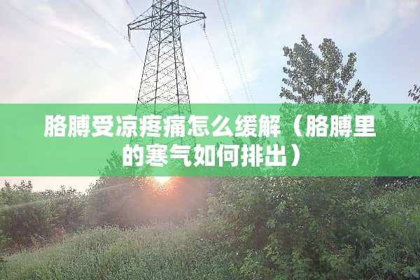 胳膊受凉疼痛怎么缓解（胳膊里的寒气如何排出）
