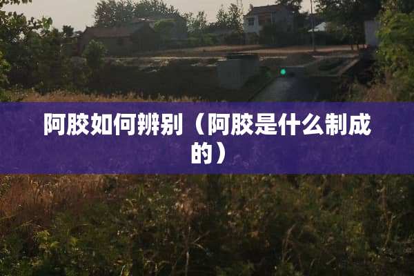 阿胶如何辨别（阿胶是什么制成的）