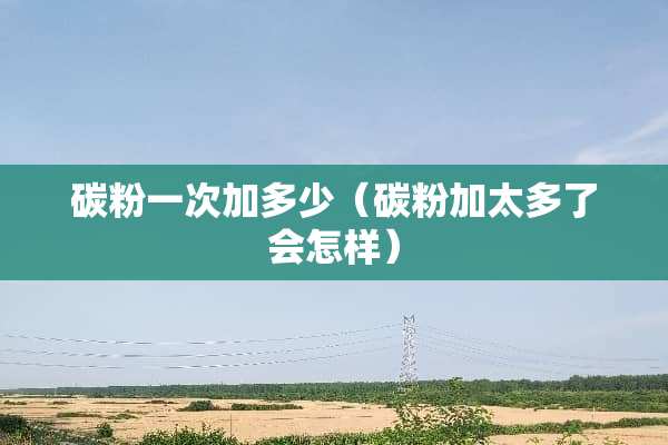 碳粉一次加多少（碳粉加太多了会怎样）