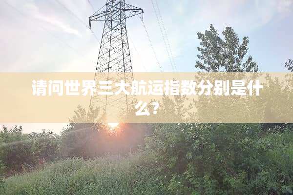 请问世界三大航运指数分别是什么？