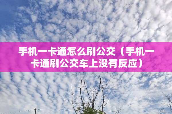 手机一卡通怎么刷公交（手机一卡通刷公交车上没有反应）