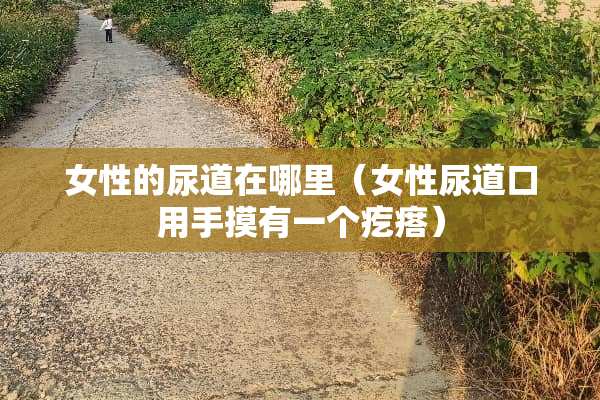 女性的尿道在哪里（女性尿道口用手摸有一个疙瘩）