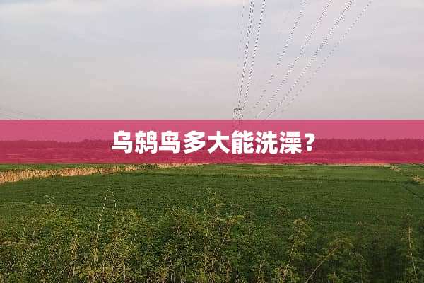 乌鸫鸟多大能洗澡？
