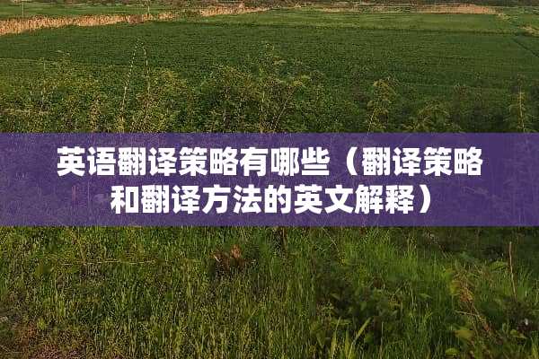 英语翻译策略有哪些（翻译策略和翻译方法的英文解释）