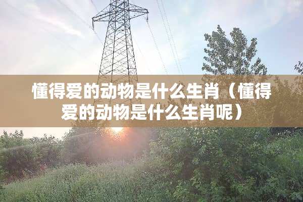 懂得爱的动物是什么生肖（懂得爱的动物是什么生肖呢）