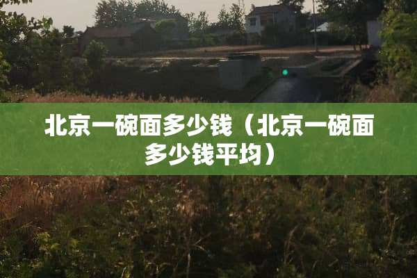 北京一碗面多少钱（北京一碗面多少钱平均）