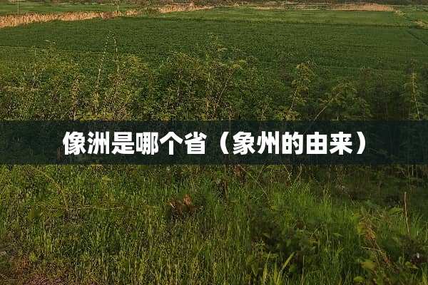 像洲是哪个省（象州的由来）