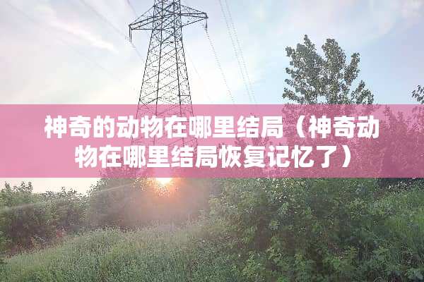 神奇的动物在哪里结局（神奇动物在哪里结局恢复记忆了）
