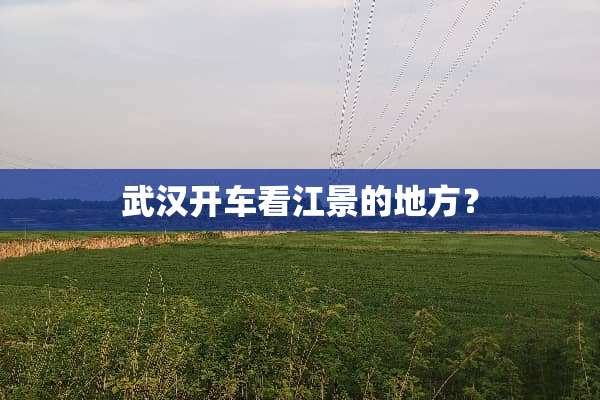武汉开车看江景的地方？
