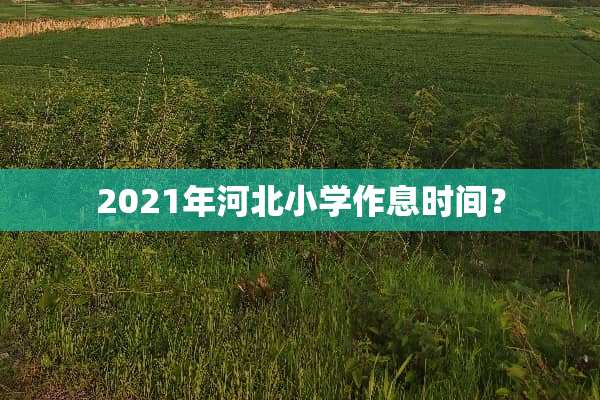 2021年河北小学作息时间？