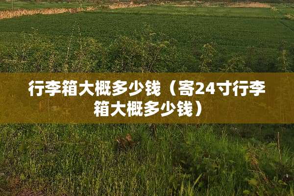 行李箱大概多少钱（寄24寸行李箱大概多少钱）