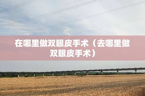 在哪里做双眼皮手术（去哪里做双眼皮手术）