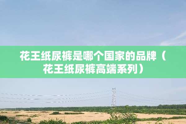 花王纸尿裤是哪个国家的品牌（花王纸尿裤高端系列）