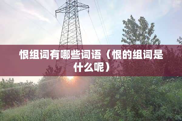 恨组词有哪些词语（恨的组词是什么呢）
